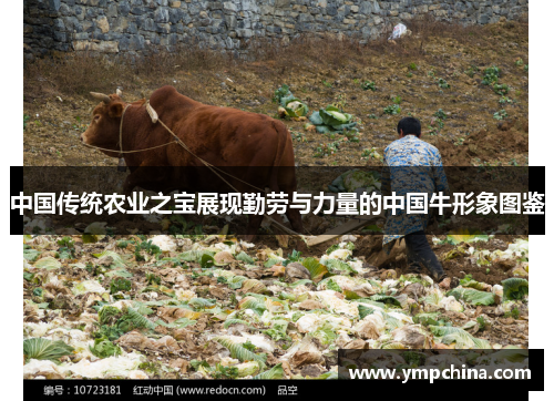 中国传统农业之宝展现勤劳与力量的中国牛形象图鉴