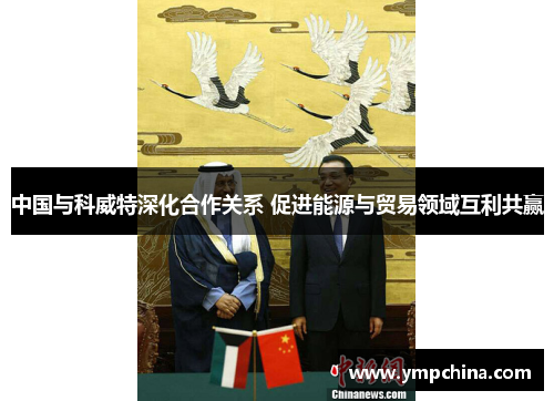 中国与科威特深化合作关系 促进能源与贸易领域互利共赢