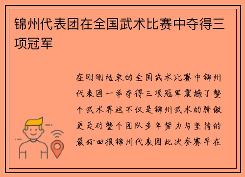 锦州代表团在全国武术比赛中夺得三项冠军